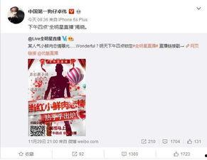 今日爆料全集在线观看