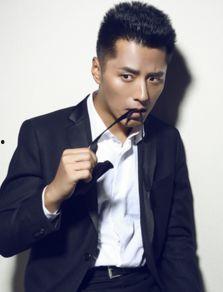 明星带柏的,闪耀舞台的璀璨星辰